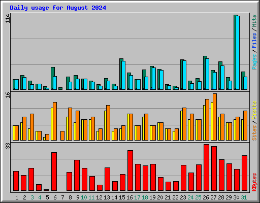 Daily usage for August 2024