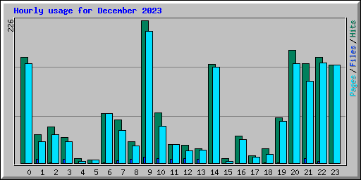 Hourly usage for December 2023