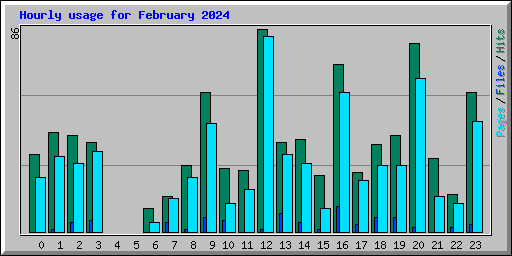 Hourly usage for February 2024