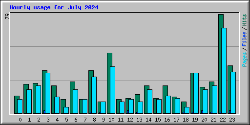 Hourly usage for July 2024