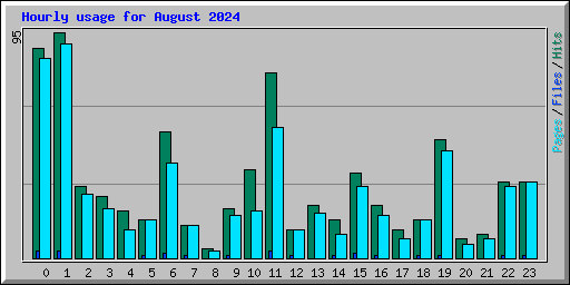 Hourly usage for August 2024