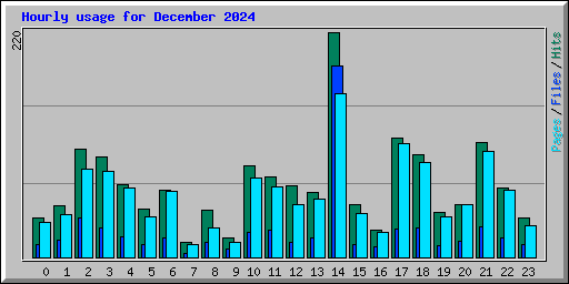 Hourly usage for December 2024