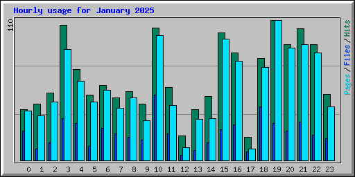 Hourly usage for January 2025