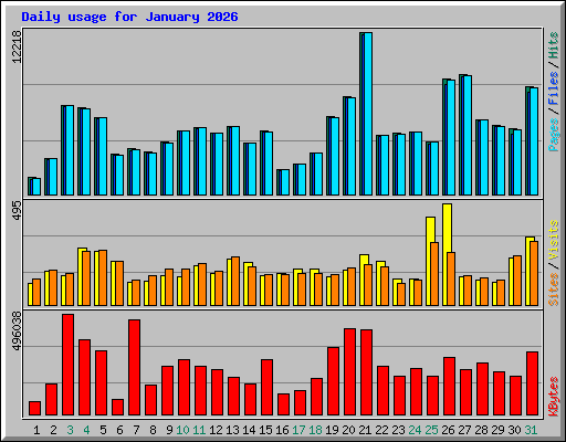 Daily usage for January 2026
