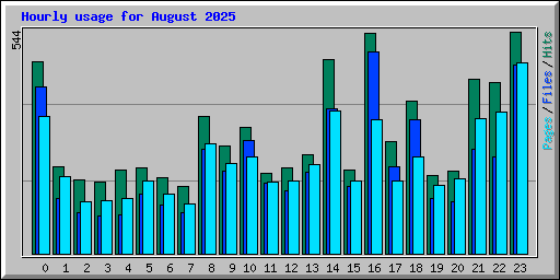 Hourly usage for August 2025