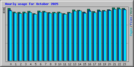 Hourly usage for October 2025