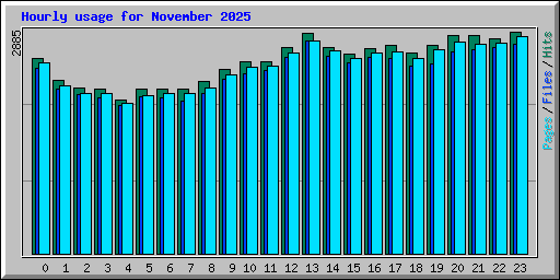 Hourly usage for November 2025