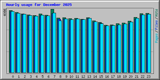 Hourly usage for December 2025