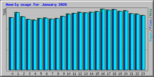 Hourly usage for January 2026