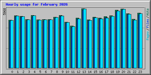 Hourly usage for February 2026