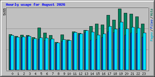 Hourly usage for August 2026
